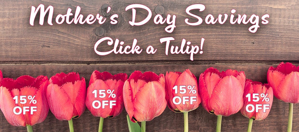 Mother's Day Savings! 15% OFF Coupon